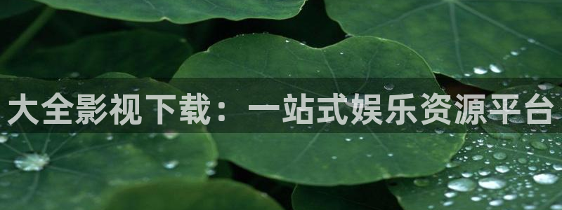 草莓影院黄色：大全影视下载：一站式娱乐资源平台