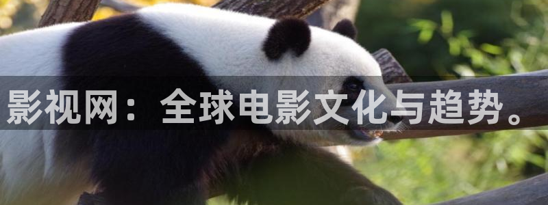 草莓视频影院：影视网：全球电影文化与趋势。